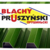 Профнастил Т 10 " Blachy Pruszynski " RAL 6005 - PE 0,45 мм MARCHEGALIA — изображение 6