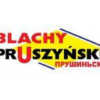 Профнастил Т  - 150 ( 0,7 мм) Прушински «Blachy Pruszynski ®» Несущий  Польша — изображение 10