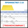 Профнастил оцинкованный С-10 тип П / 0,45 мм / "Термастил Украина" /